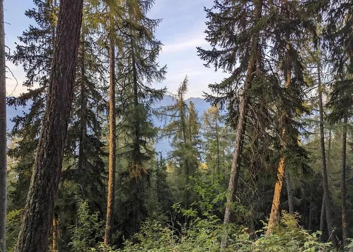 Bright With Terrace *