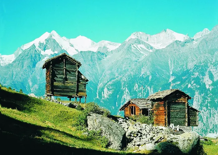 Dağ evi Bright With Terrace *