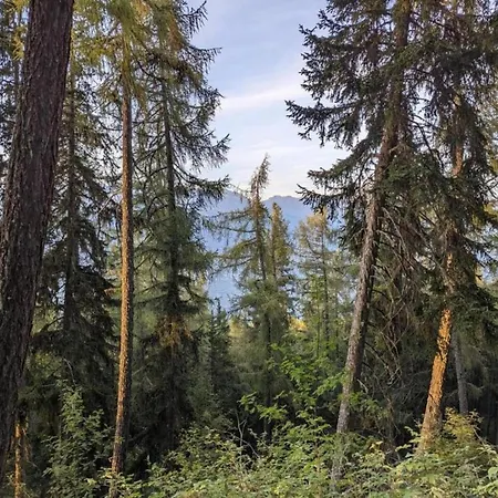 Bright With Terrace *