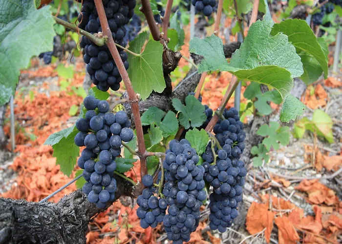 Шале Bright With Terrace *